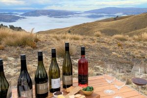 High Country Heli Wine Tasting Experience (exclusive access)