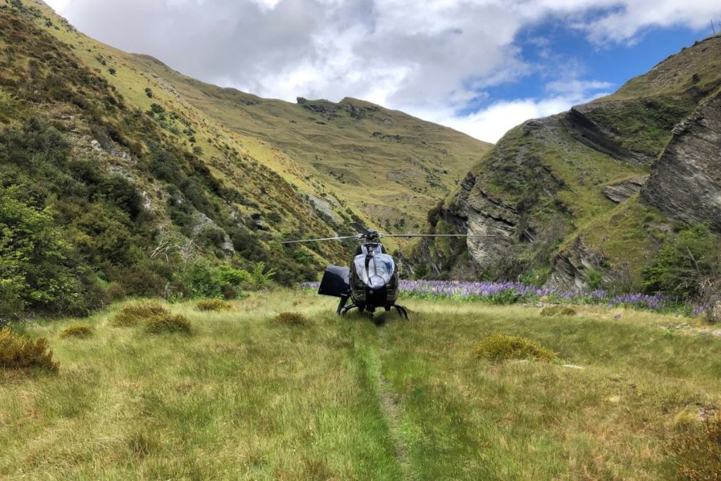 exclusive heli gold panning queenstown