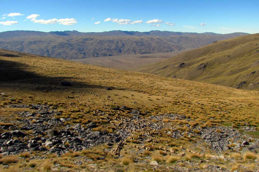 Loch Linnhe high country station in queenstown new zealand with Alpine Luxury Tours