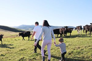 farm experiance southland