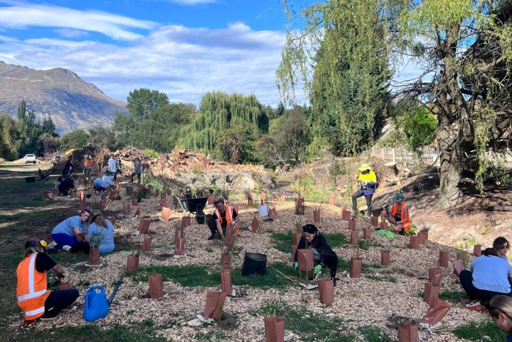 alpine tree planting