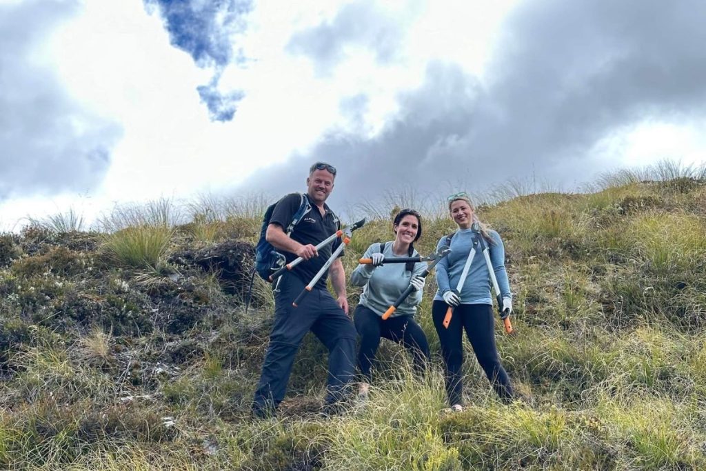 wilding pine removal queenstown