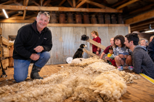 The Ultimate Kiwi Farm Experience