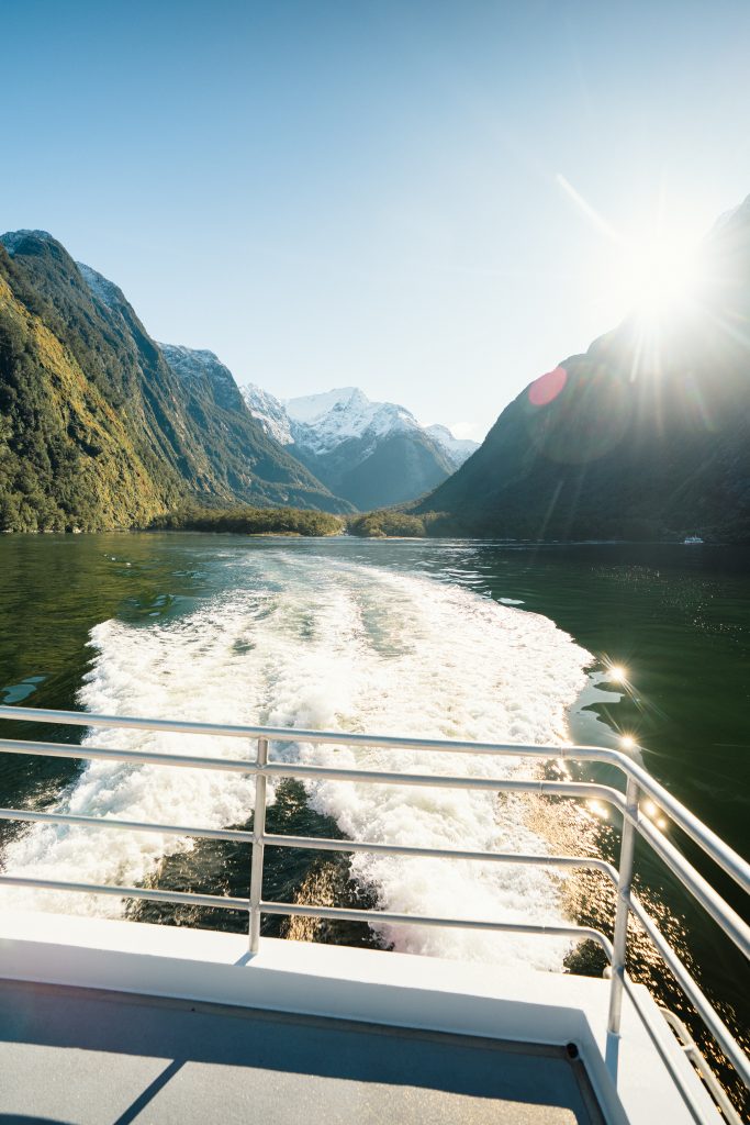 cruise fiordland