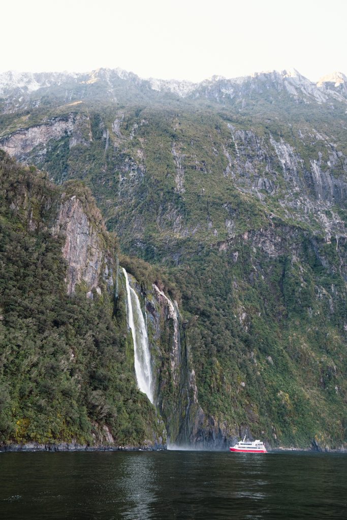 private tour milford sound